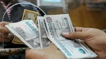 بشرى للموظفين.. تحديد موعد صرف مرتبات أكتوبر 2025 والجدول الكامل حتى نهاية العام 1